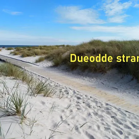 The Cherry - 'den Gule Svane' Near & 4*