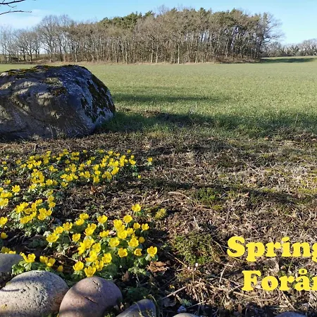 Guest house The Cherry - 'den Gule Svane' Near & Ronne