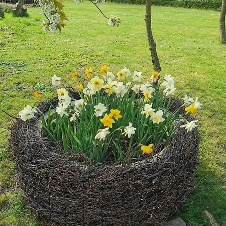 The Cherry - 'den Gule Svane' Near & Vendégház