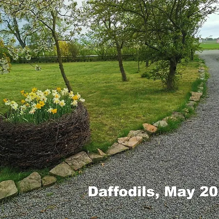 The Cherry - 'den Gule Svane' Near & Vendégház 4*