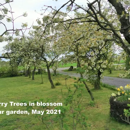 The Cherry - 'den Gule Svane' Near & * Ronne