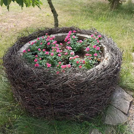 The Cherry - 'den Gule Svane' Near & Ronne