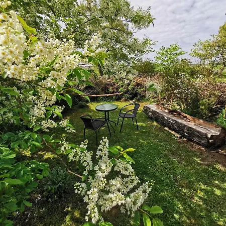 The Cherry - 'den Gule Svane' Near & Rønne