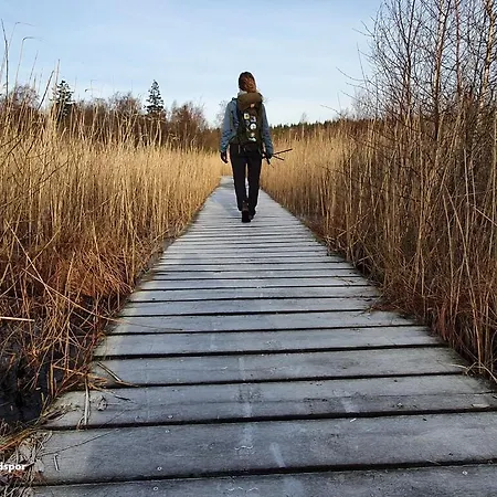 The Cherry - 'den Gule Svane' Near & Vendégház