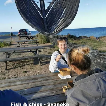 The Cherry - 'den Gule Svane' Near & Guest house 4*