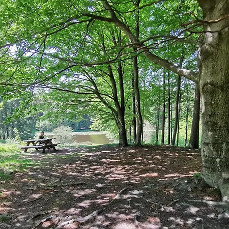 The Cherry - 'den Gule Svane' Near & Guest house