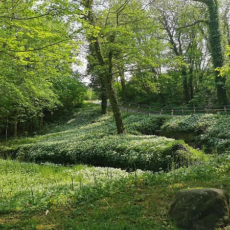 The Cherry - 'den Gule Svane' Near &