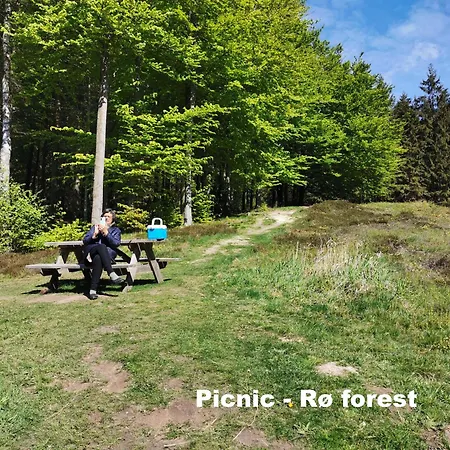 The Cherry - 'den Gule Svane' Near & Ronne