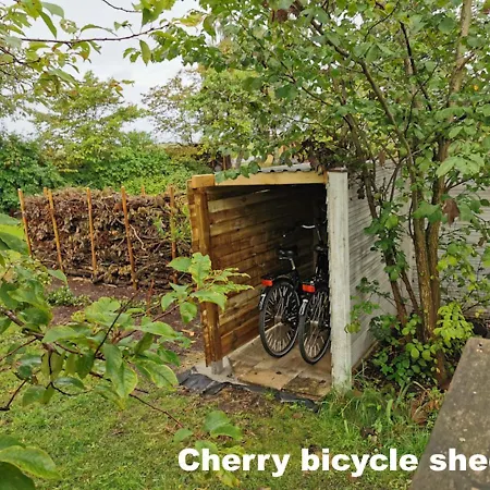 The Cherry - 'den Gule Svane' Near & Ronne