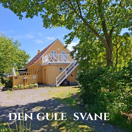 The Cherry - 'den Gule Svane' Near & Vendégház 4*