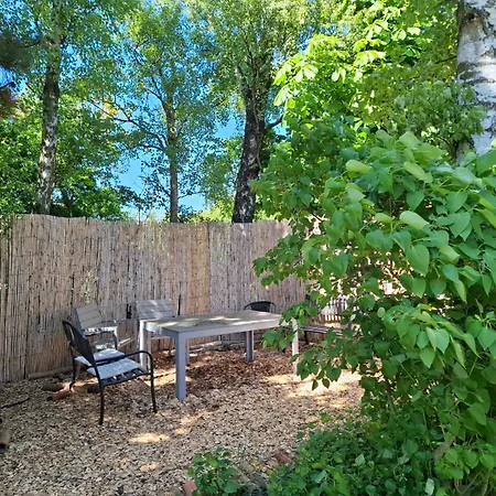 The Cherry - 'den Gule Svane' Near & 4*