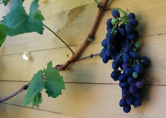 The Cherry - 'den Gule Svane' - Near & Πανσιόν Rønne